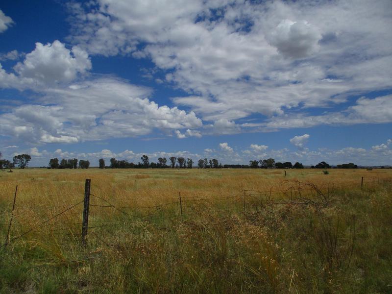 4 Bedroom Property for Sale in Bloemdal Free State